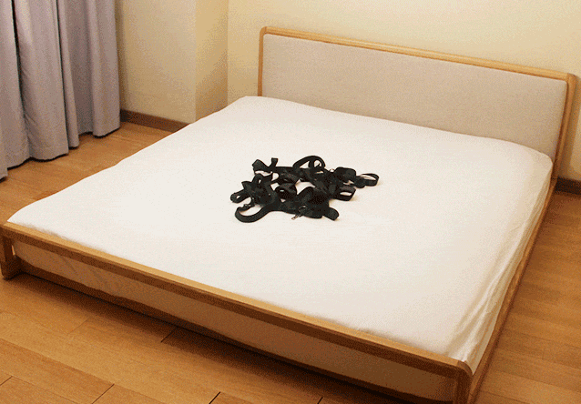 Amouré™ | Bed Restraints