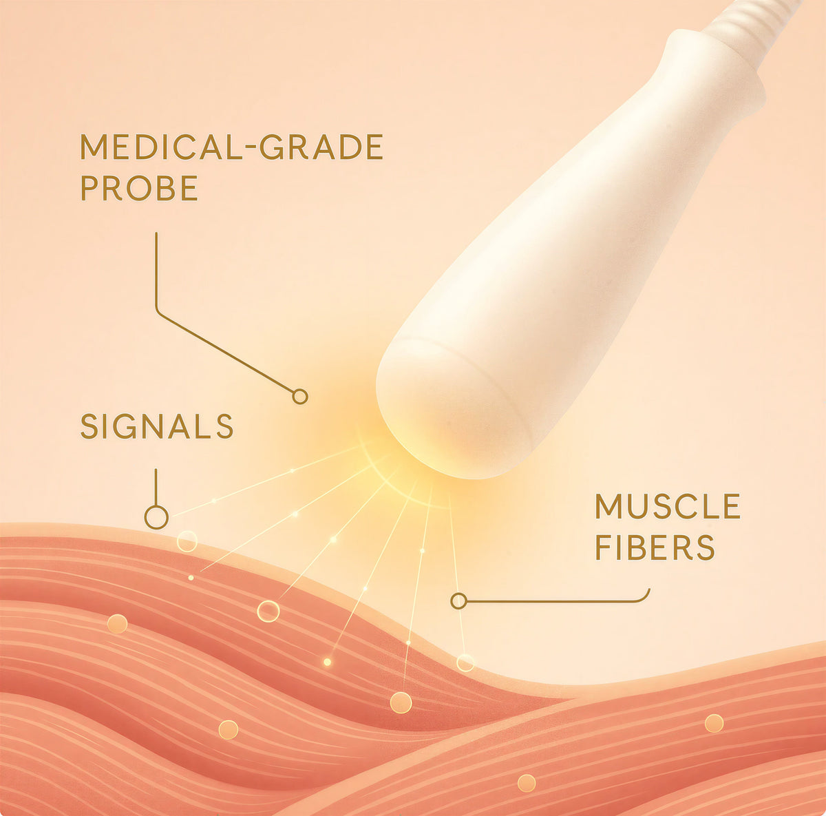 VitalV™ | More Control. More Connection