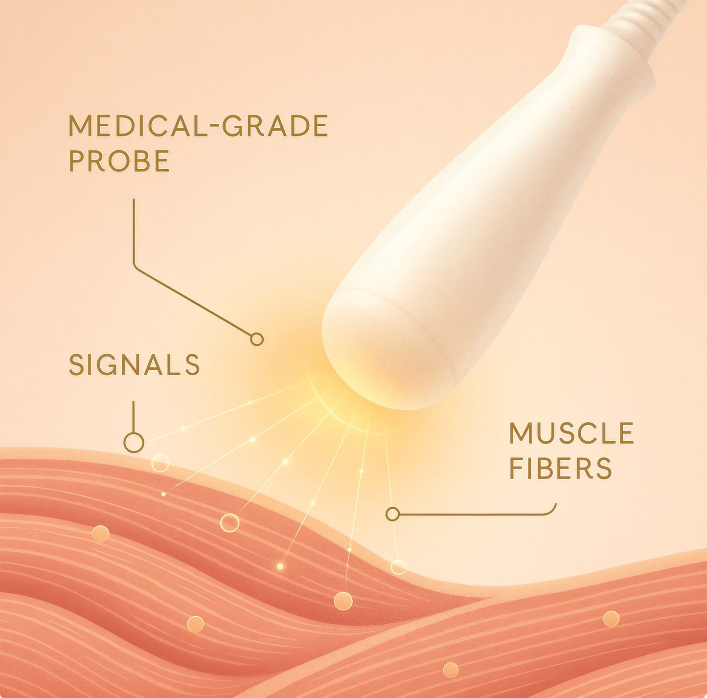 VitalV™ | More Control. More Connection